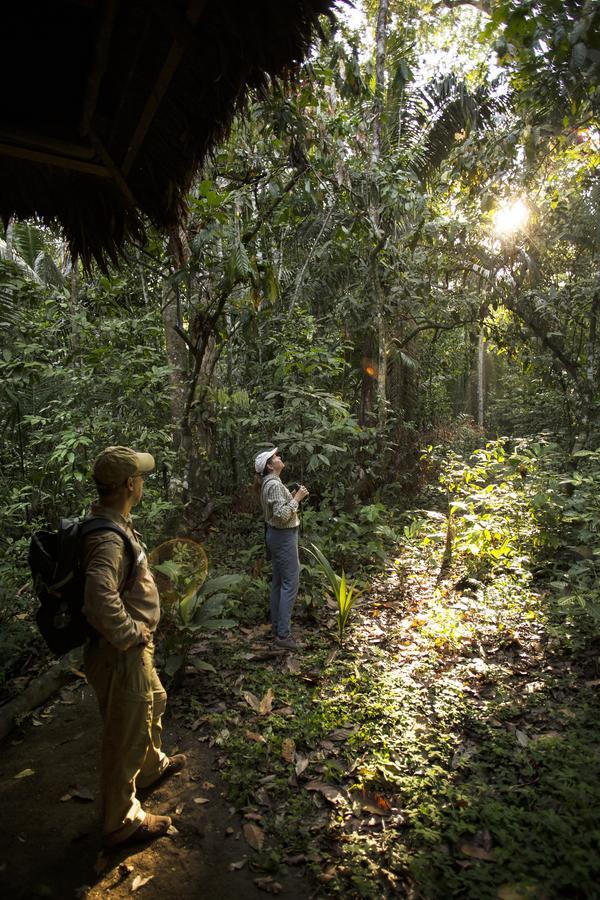 Amazon Field Station Byinkaterra Hostel Πουέρτο Μαλντονάντο Εξωτερικό φωτογραφία