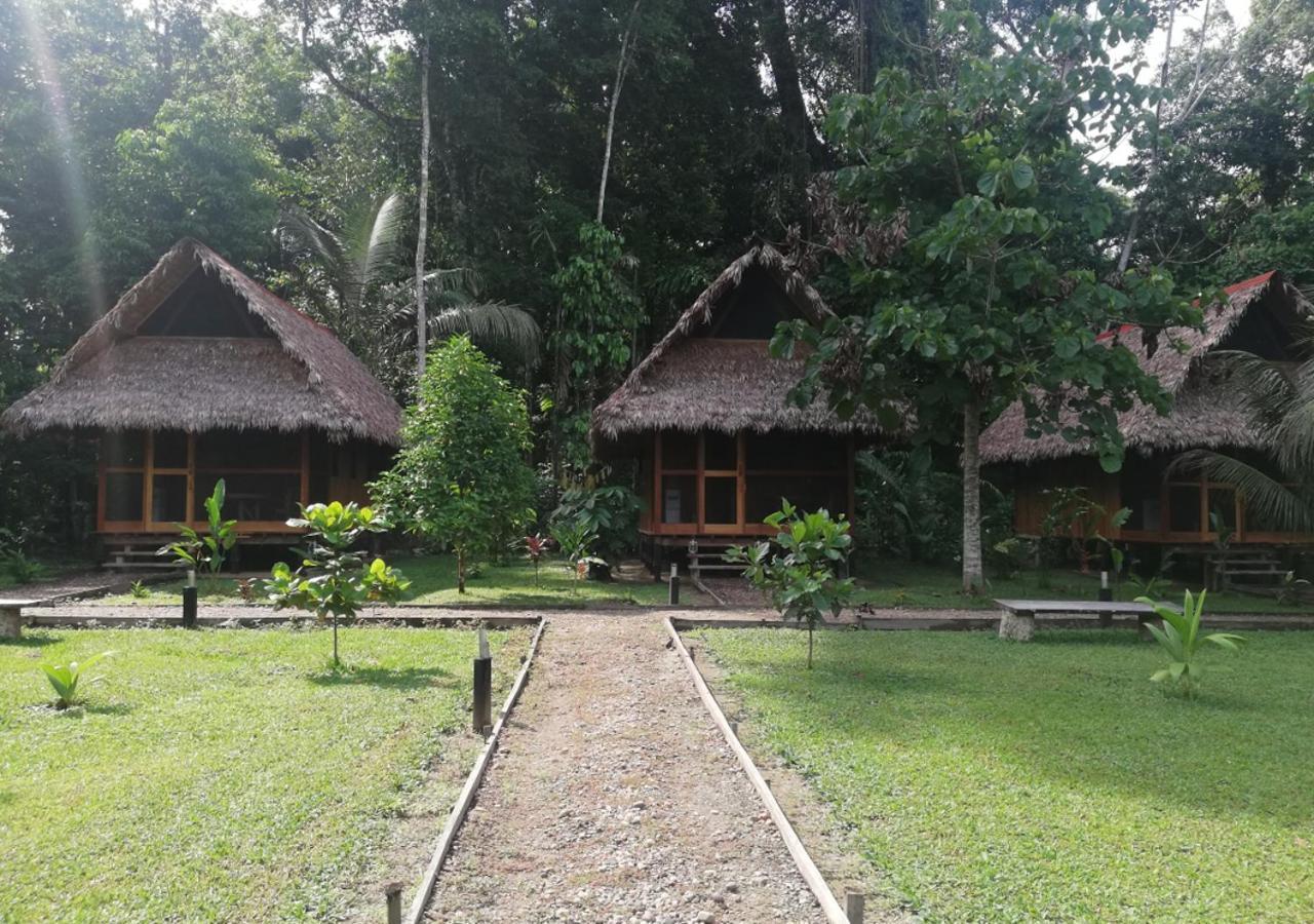Amazon Field Station Byinkaterra Hostel Πουέρτο Μαλντονάντο Εξωτερικό φωτογραφία